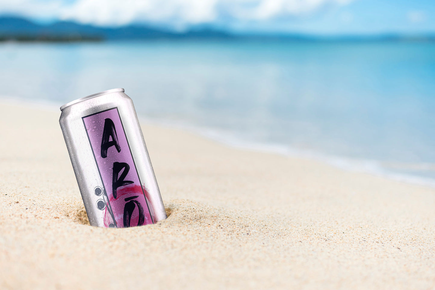 ARO Fermented Aronia Sparkling Drink — 6 Pack